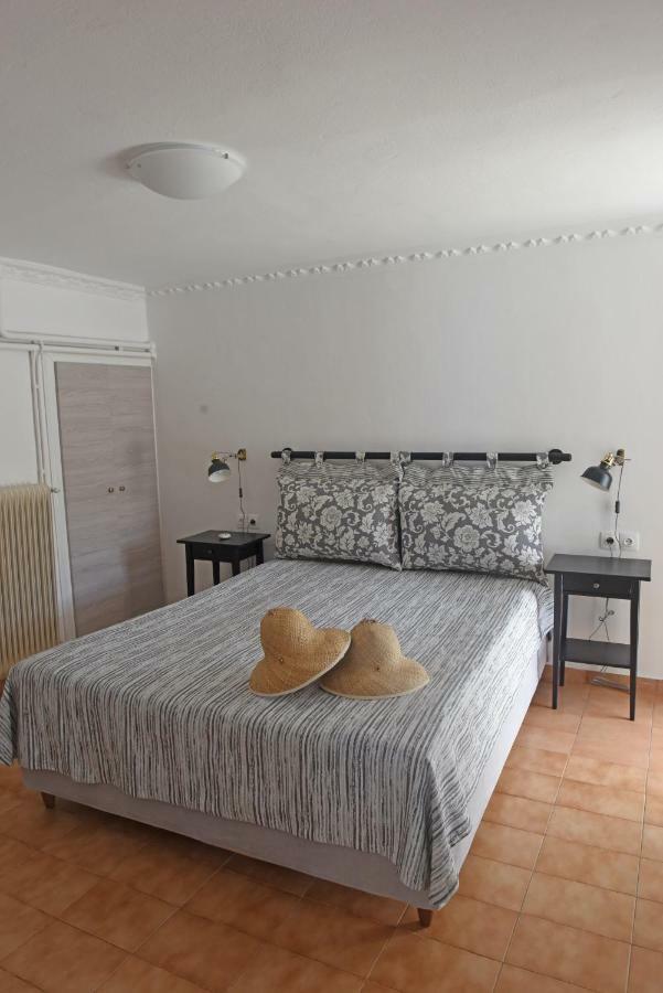 Mare Vista Villa Evdilos  Luaran gambar